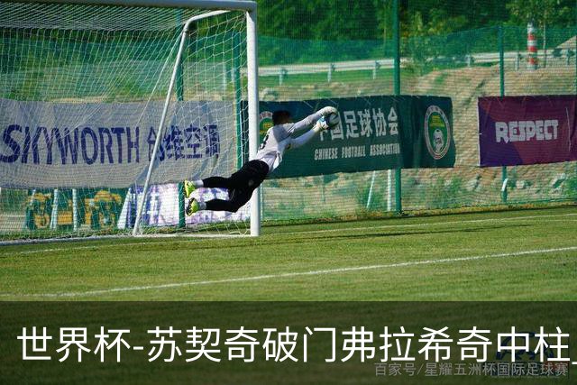 世界杯-苏契奇破门弗拉希奇中柱 克罗地亚半场1-0加纳