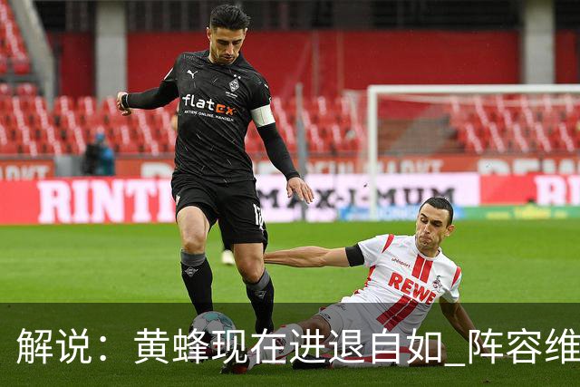 解说：黄蜂现在进退自如 阵容维持一定竞争力 可重建也可追逐球星