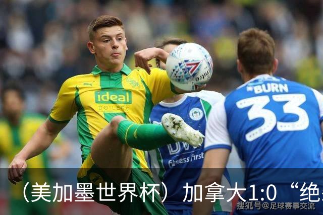 （美加墨世界杯）加拿大1:0“绝杀”南非 队史首进16强